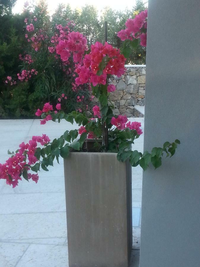 Villa Ca Del Mar Morciano di Leuca Εξωτερικό φωτογραφία