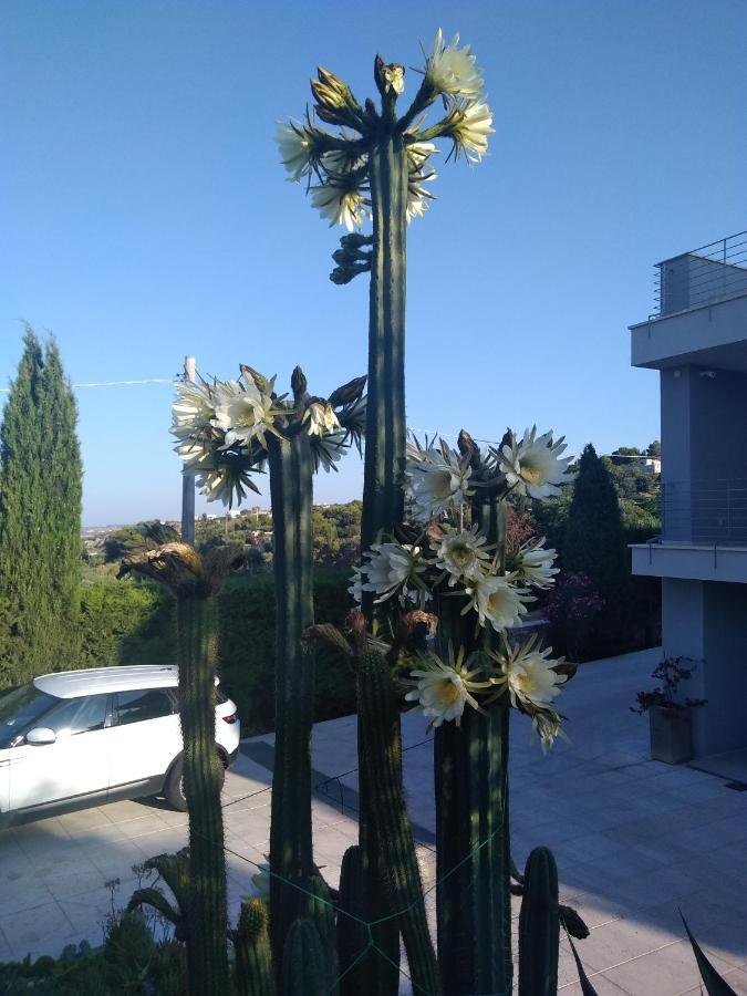 Villa Ca Del Mar Morciano di Leuca Εξωτερικό φωτογραφία
